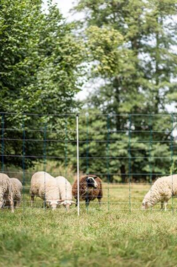 Fotografija izdelka Mreža za drobnico AKO TitanNet, dvojna konica, 145 cm x 25 m