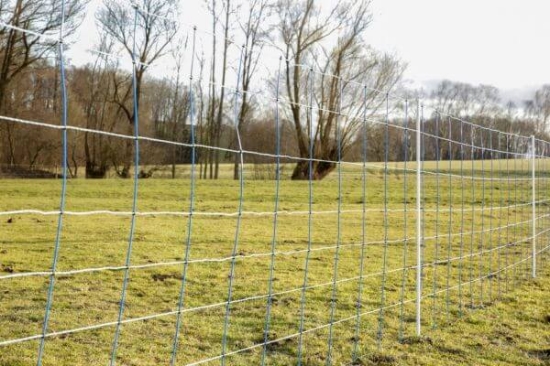 Fotografija izdelka Mreža za drobnico AKO TitanNet, dvojna konica, 145 cm x 50 m