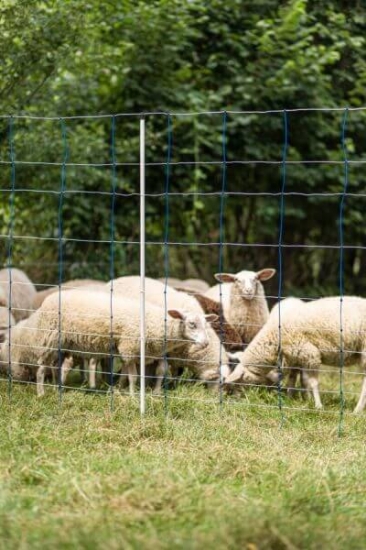 Fotografija izdelka Mreža za drobnico AKO TitanNet, dvojna konica, 145 cm x 50 m