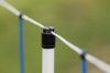 Fotografija izdelka Mreža za drobnico (145 cm x 50 m) AKO TitanNet, dvojna konica