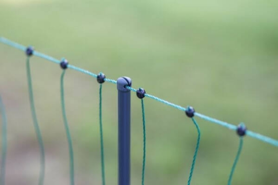 Fotografija izdelka Mreža za perutnino Premium, dvojna konica, 122 cm x 50 m