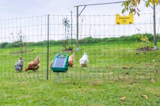 Fotografija izdelka Mreža za perutnino AKO PoultryNet Premium, 106 cm x 50 m, dvojna konica