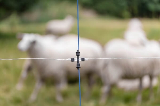 Fotografija izdelka Litzclip® komplet za popravilo navpičnih opornikov v pašnih mrežah