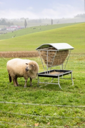 Fotografija izdelka Streha za Krmišče za drobnico