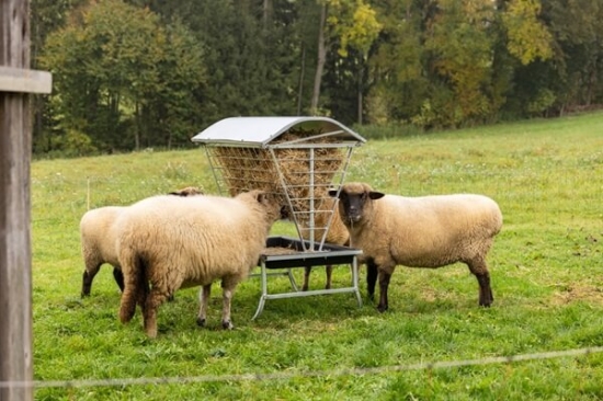 Fotografija izdelka Jasli za drobnico brez strehe
