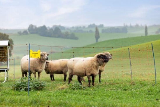 Fotografija izdelka Mreža za drobnico AKO OviNet Premium, dvojna konica, 90 cm x 50 m