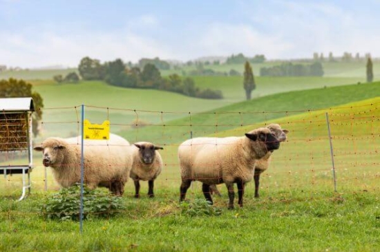 Fotografija izdelka Mreža za drobnico AKO OviNet Premium, dvojna konica, 90 cm x 50 m