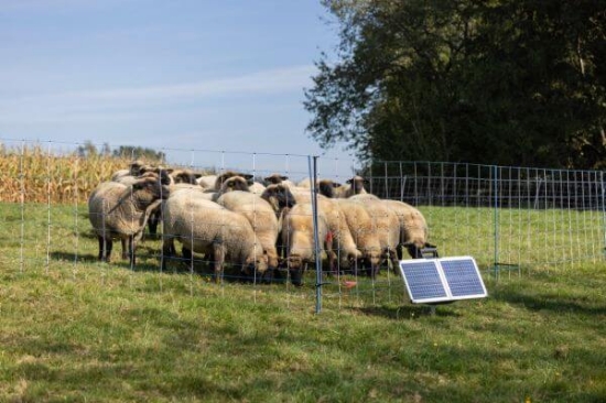 Fotografija izdelka Podporni stebriček za mrežo 145 cm, fi=14 mm