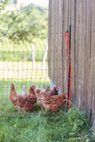 Fotografija izdelka Podporni stebriček za mrežo 120 cm, fi= 14mm