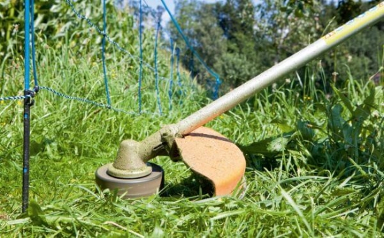 Fotografija izdelka Mreža proti divjadi AKO WildNet, enojna konica, 63 cm x 50 m