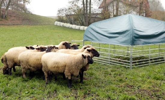 Fotografija izdelka Komplet pašnega zaklonišča za ovce in koze