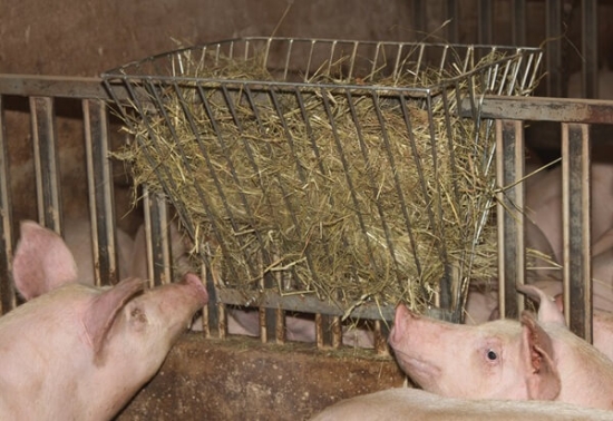 Fotografija izdelka Stojalo za seno, 61,5 x 50 x 48 cm