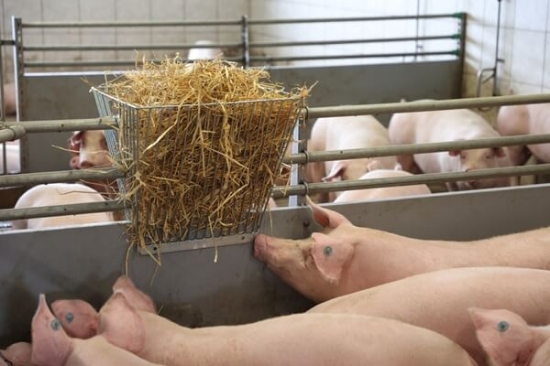 Fotografija izdelka Stojalo za seno, 61,5 x 50 x 48 cm