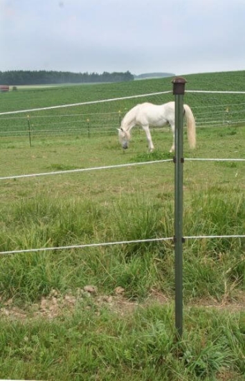 Fotografija izdelka Kovinski steber T-Post, 167 cm
