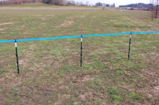 Fotografija izdelka Kovinski steber T-Post, 167 cm