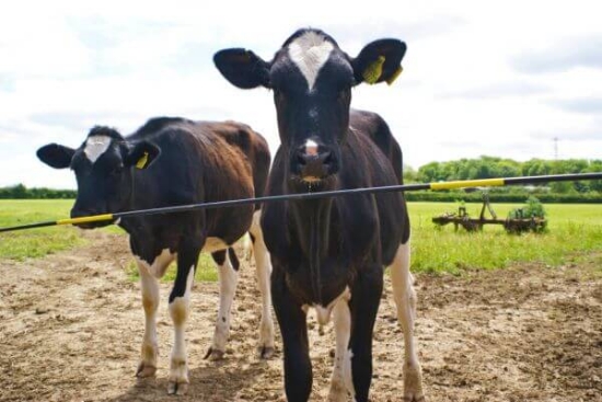 Fotografija izdelka Nadomestni tečaj Electro Gate