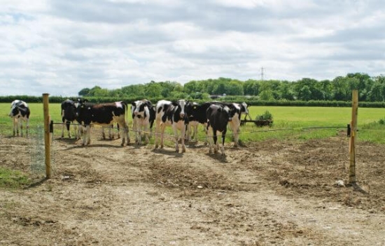 Fotografija izdelka Nadomestni tečaj Electro Gate