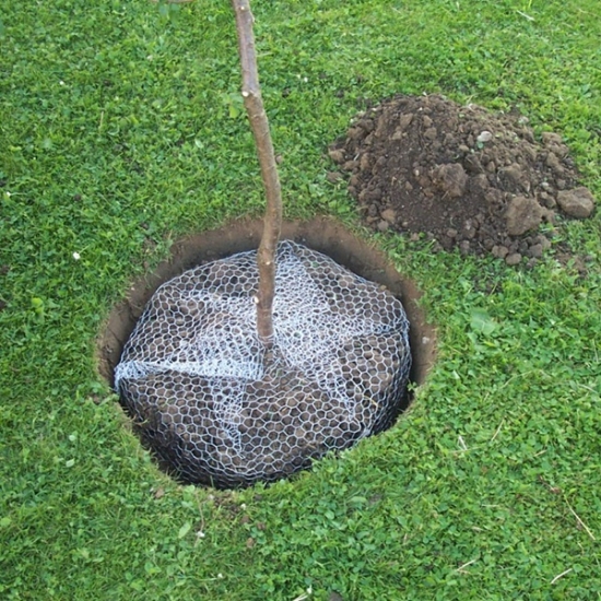 Fotografija izdelka Mreža za zaščito korenin sadik