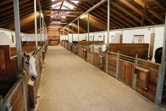 Fotografija izdelka Kamera IPCam 360 FHD Compact