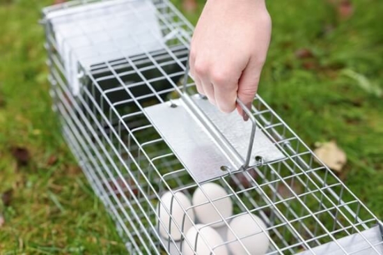 Fotografija izdelka Past za živali Alive Predator Super D: 105 cm, V: 26 cm