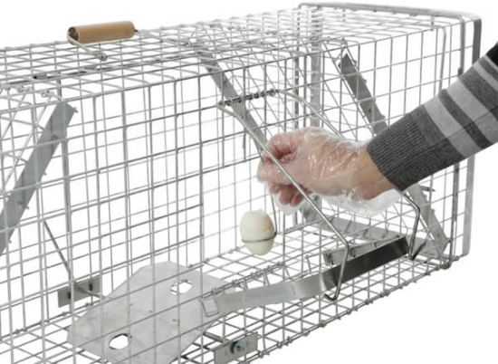 Fotografija izdelka Past za živali Alive Predator Super D: 105 cm, V: 26 cm