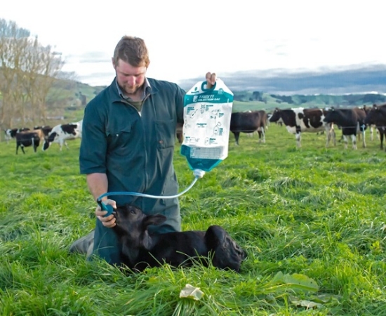 Fotografija izdelka Trusti vrečke s kolostrumom -  50 kosov