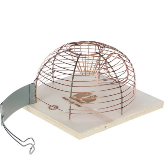 Fotografija izdelka Past za miši s košaro Alive