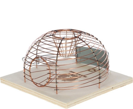 Fotografija izdelka Past za miši s košaro Alive