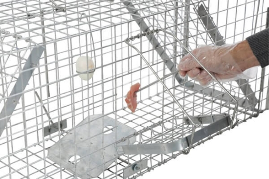 Fotografija izdelka Past za živali Alive Predator Super D: 65 cm, V: 20 cm