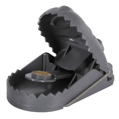 Fotografija izdelka Past ratStop