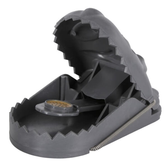 Fotografija izdelka Past ratStop