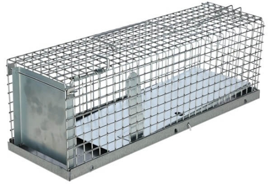 Fotografija izdelka Past za živali Live Trap DeLuxe 40 cm