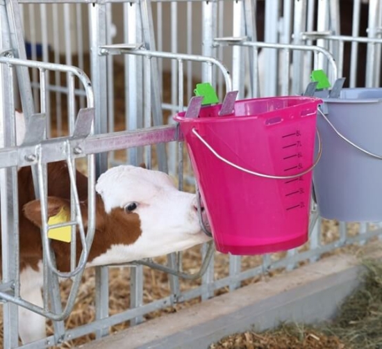 Fotografija izdelka Varovalo pred izmetom, 3 kom