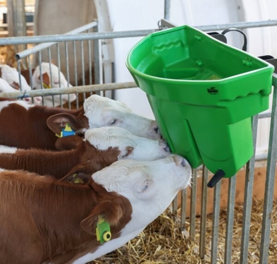 Fotografija izdelka Napajalno korito za teleta Multi Feeder