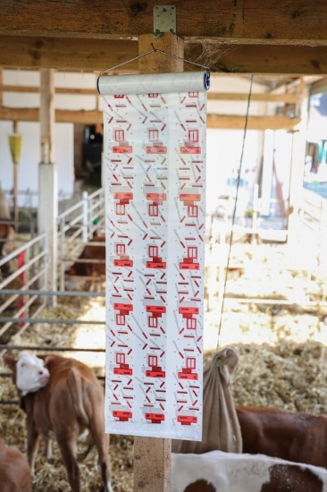 Fotografija izdelka Trak za muhe Cit FlyMaster, 30 cm × 9 m