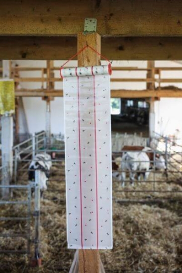 Fotografija izdelka Trak za muhe Cit MuscaRoll, 30 cm × 7 m