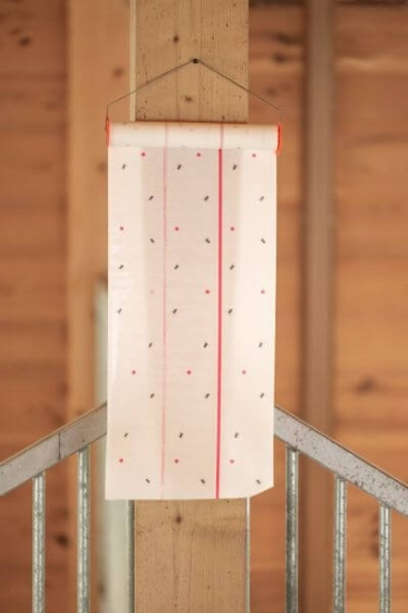 Fotografija izdelka Trak za muhe Cit MuscaRoll, 30 cm × 7 m