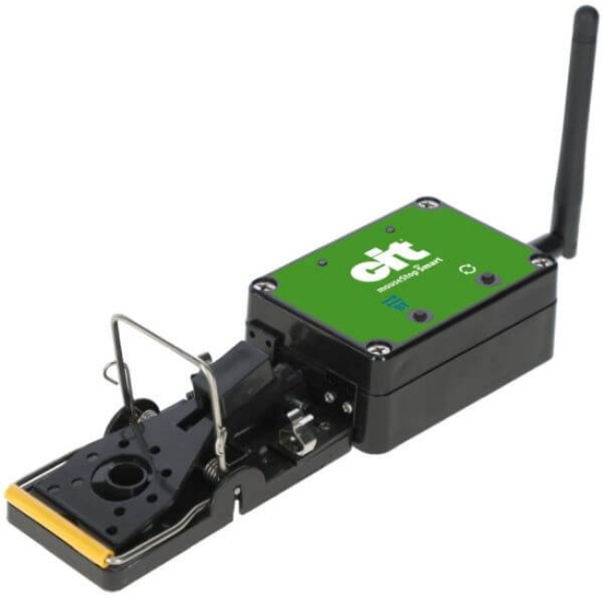 Fotografija izdelka Past za miši CIT mouseStop Smart