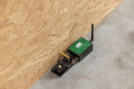 Fotografija izdelka Past za miši CIT mouseStop Smart