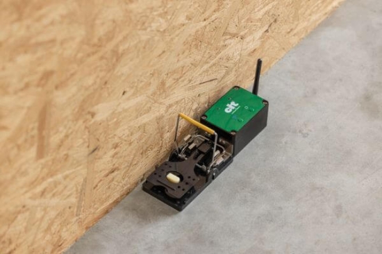 Fotografija izdelka Past za miši CIT ratStop Smart