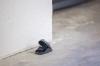 Fotografija izdelka Past za miši CIT Mousetrap mouseStop, 5 kom