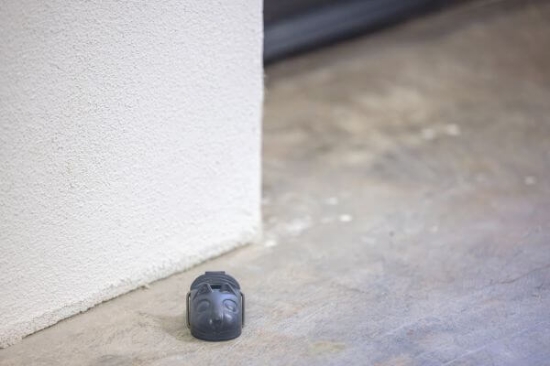 Fotografija izdelka Past za miši CIT Mousetrap mouseStop, 5 kom