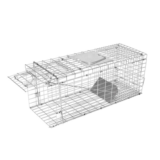 živa past, box trap, past za kune, past za mačke, past za zajce, humano lovljenje živali, past za plenilce, pocinkana past, ecoflex past, past za vrt, past za hlev, past za dvorišče, živa past za živali, lovilna kletka