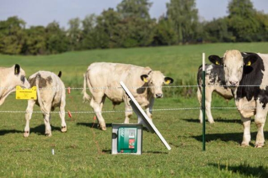 Fotografija izdelka Pastir AKO Duo Power X 6000 12/230V