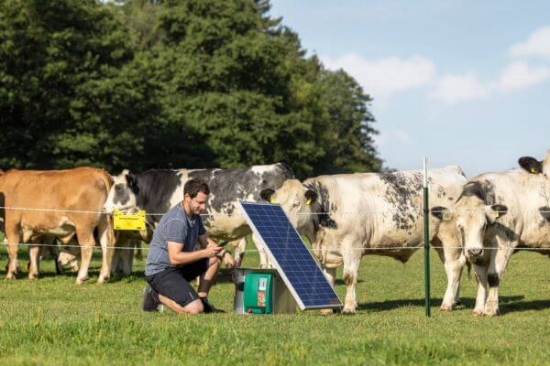 Fotografija izdelka Pastir AKO Duo Power X 6000 12/230V