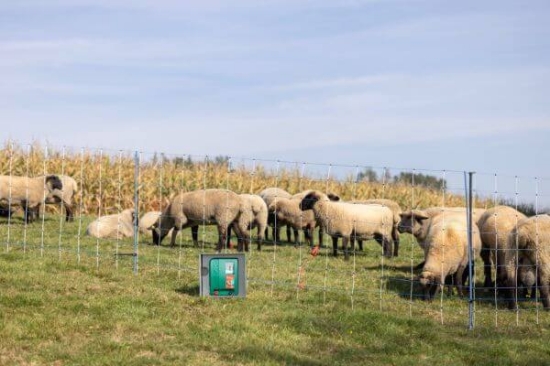 Fotografija izdelka Pastir AKO Duo Power X 6000 12/230V