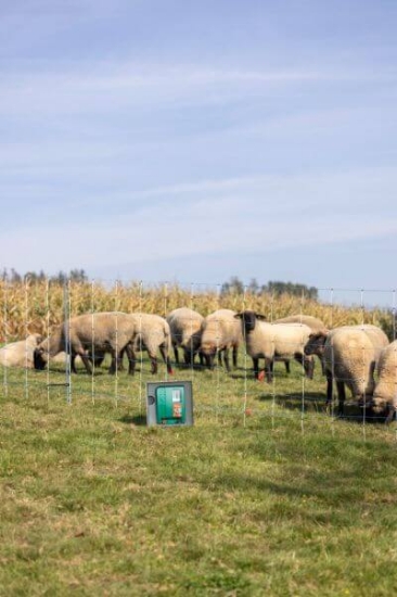 Fotografija izdelka Pastir AKO Duo Power X 6000 12/230V