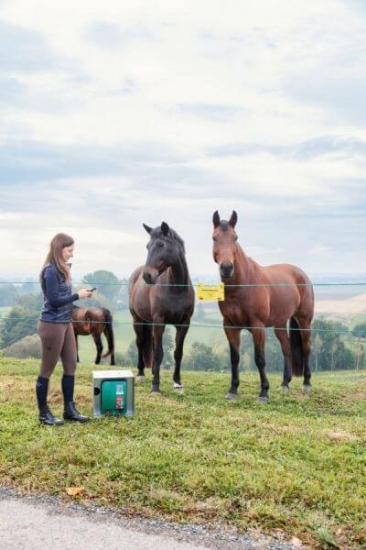 Fotografija izdelka Pastir AKO Duo Power X 6000 12/230V