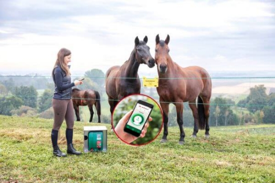 Fotografija izdelka Pastir AKO Duo Power X 6000 12/230V