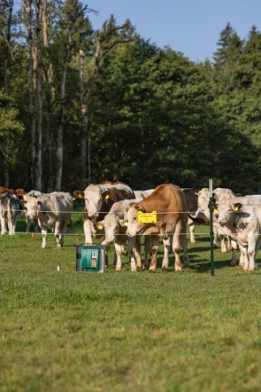 Fotografija izdelka Pastir AKO Duo Power Xi 8000 smart 12V